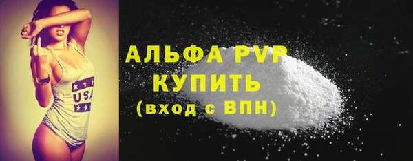 прущие грибы Костерёво