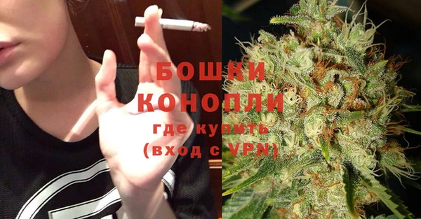прущие грибы Костерёво