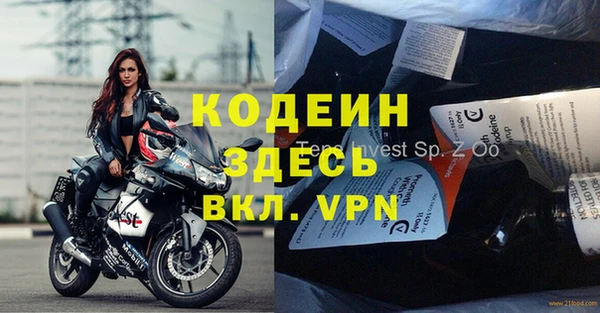 прущие грибы Костерёво