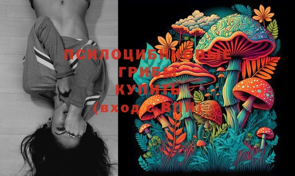 jwh Коряжма